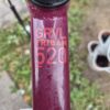 Triban 520 Gravel Bike